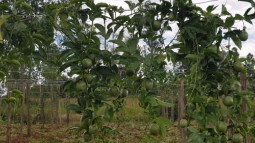 WhatsApp Image 2019-08-10 at 08.42.50